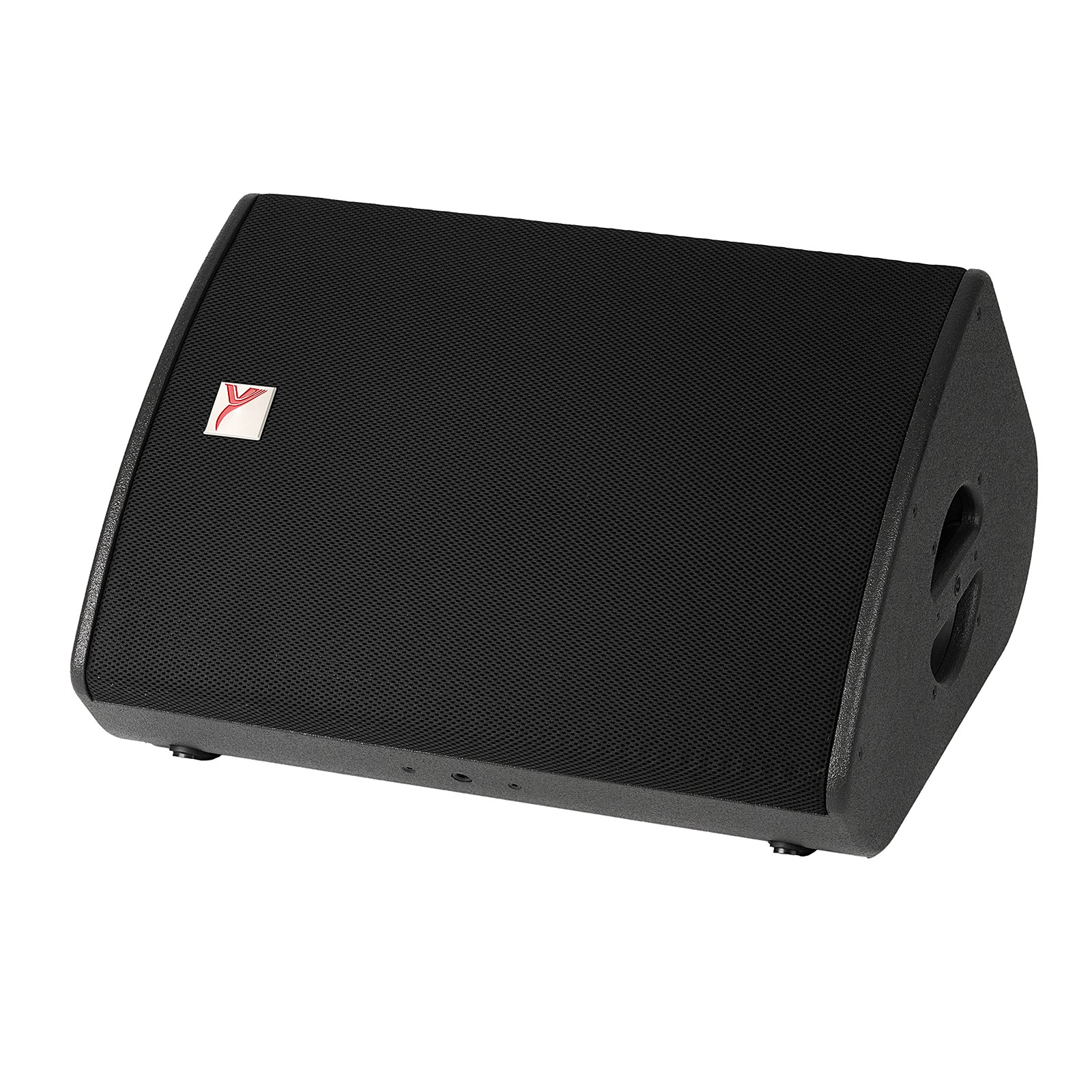 L1RPTK-FS-SM 15-inch Coaxial Stage Monitor